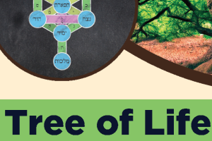 Tree of Life conference